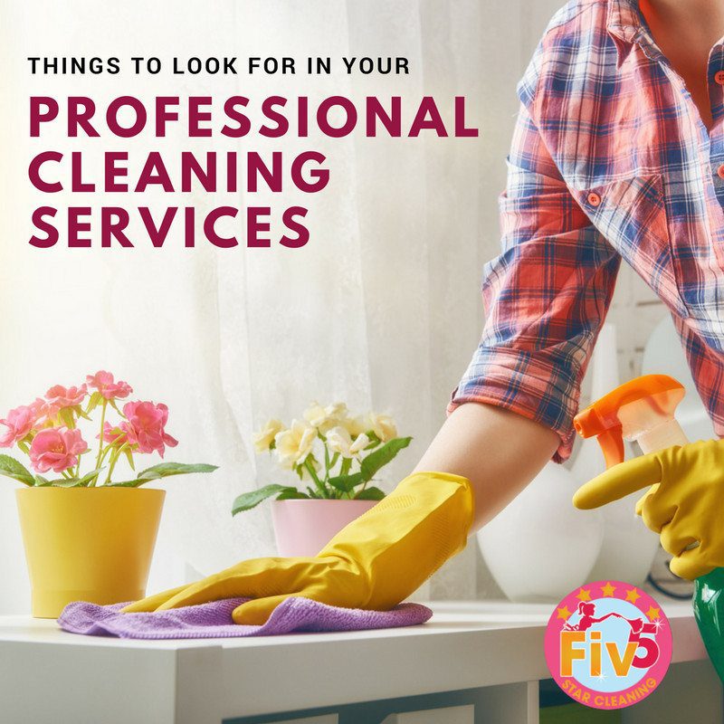 Things to Look for in Your Professional Cleaning Services