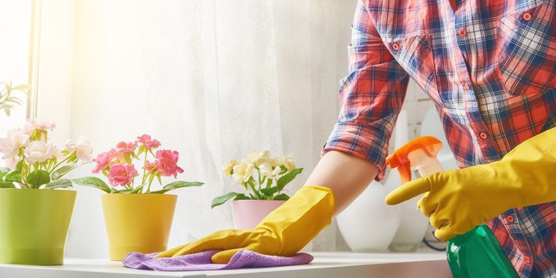 Hire a Maid in Miami, Florida