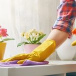 House Cleaning Services in Rock Hill, South Carolina