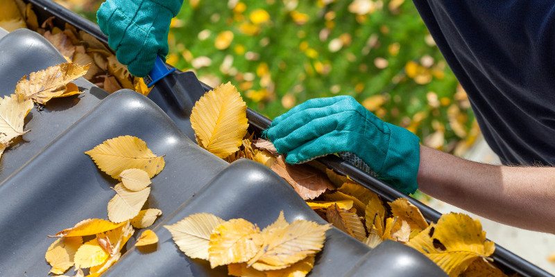 Fall Cleaning in Mooresville, North Carolina